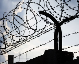 Image of barbed wire fence